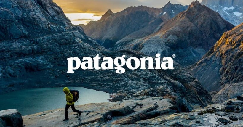 Patagonia Vote the assholes out